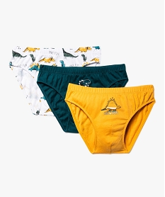 slips a motifs dinosaures garcon (lot de 3) multicoloreA760401_4
