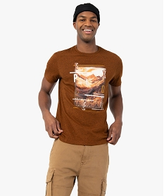 tee-shirt homme avec motif grands espaces brun tee-shirtsC122201_2