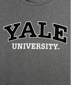 sweat garcon molletonne inscription velours - yale university gris sweatsD006301_2