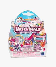 figurine a collectionner famille surprise - hatchimals multicolore autres accessoires filleD468101_1