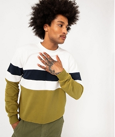 sweat en maille bouclette tricolore homme vert sweatsE045601_2