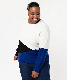 pull a col rond a motifs graphiques femme grande taille bleu pulls et giletsE342801_1