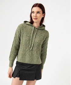 pull a capuche a torsades femme vert pullsE375001_1