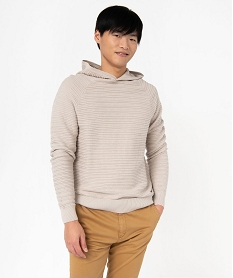 pull a capuche en maile fantaisie homme beige pullsE575301_1