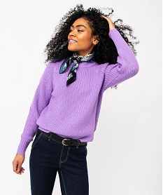 GEMO Pull en grosse maille à col rond femme violet standard
