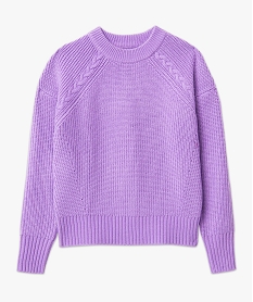 pull en grosse maille a col rond femme violet pullsE626601_4