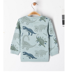 sweat molletonne avec motif dinosaure bebe garcon vertE652501_3