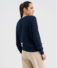 pull en maille torsadee ajouree femme - lulucastagnette bleu pullsG476101_3