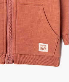 sweat a capuche fermeture zippee bebe garcon marron standardG497501_3
