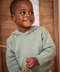 GEMO Pull à capuche en coton bébé garçon Vert