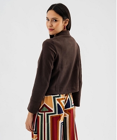 veste courte en velours peau de peche femme[missing] brun vestesJ991001_3