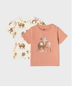 GEMO Tee-shirt manches courtes imprimés bébé garçon (lot de 2) Rose
