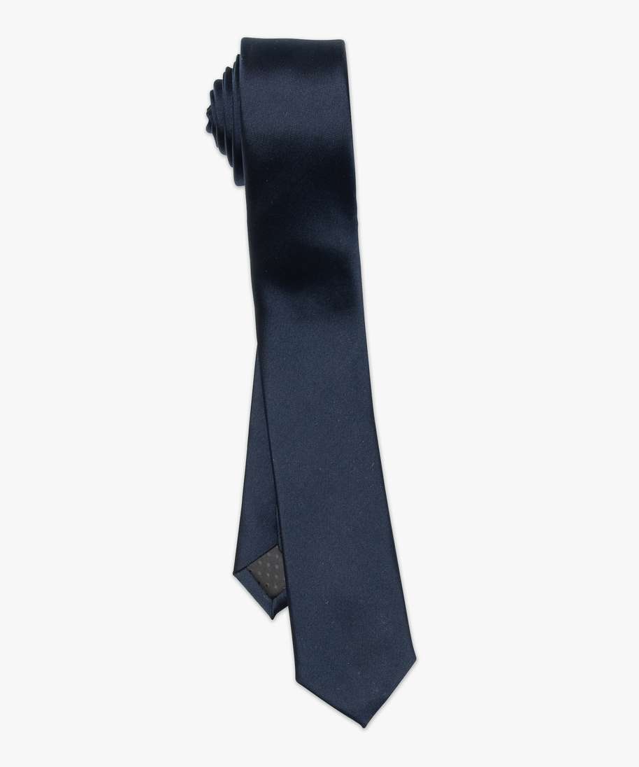 cravate unie pour homme bleu